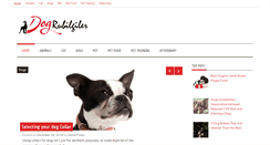 Desktop Screenshot of dogrubilgiler.com
